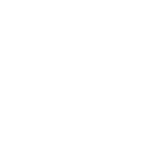 Icon für die Thermografie