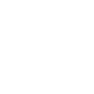 Icon für die Schwingungsmessung
