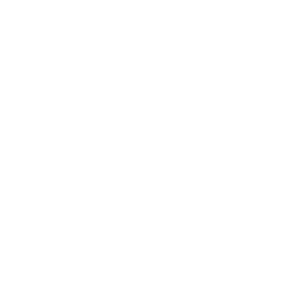 Icon für die Thermografie